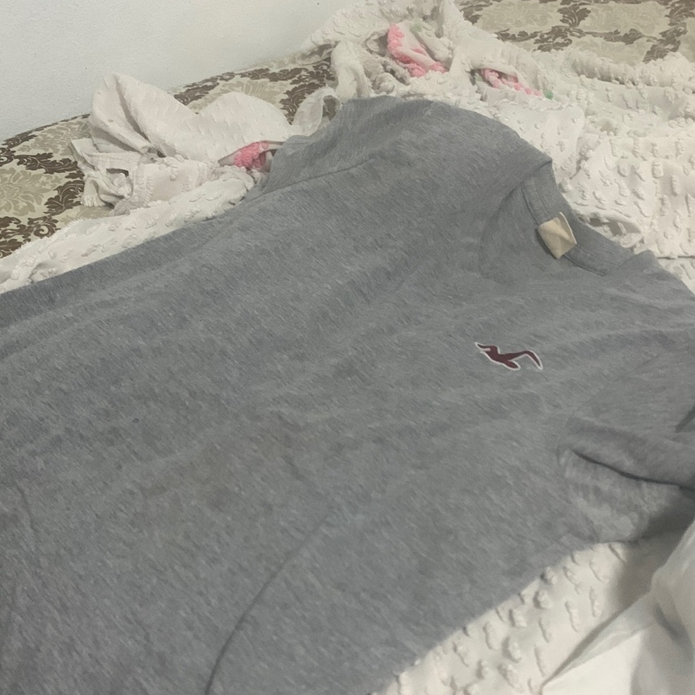 Gray Hollister shorts sleeve top with the Hollister emblem on it